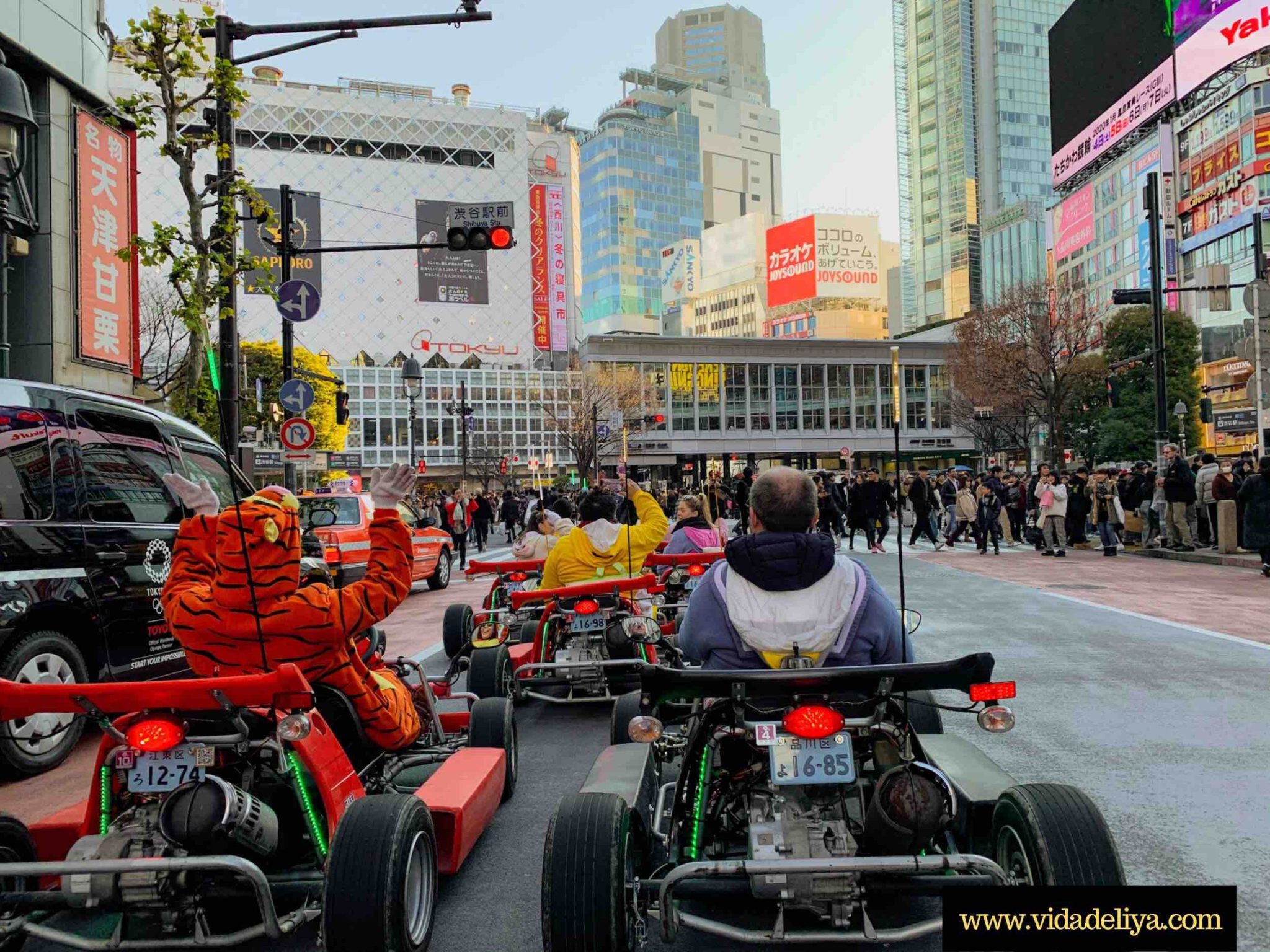 Ultimate Guide to Tokyo Mario Kart Racing | Japan Travel Itinerary ...